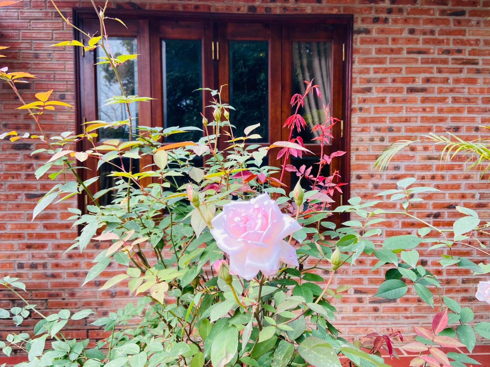 Ninh Binh Friendly Homestay Екстериор снимка