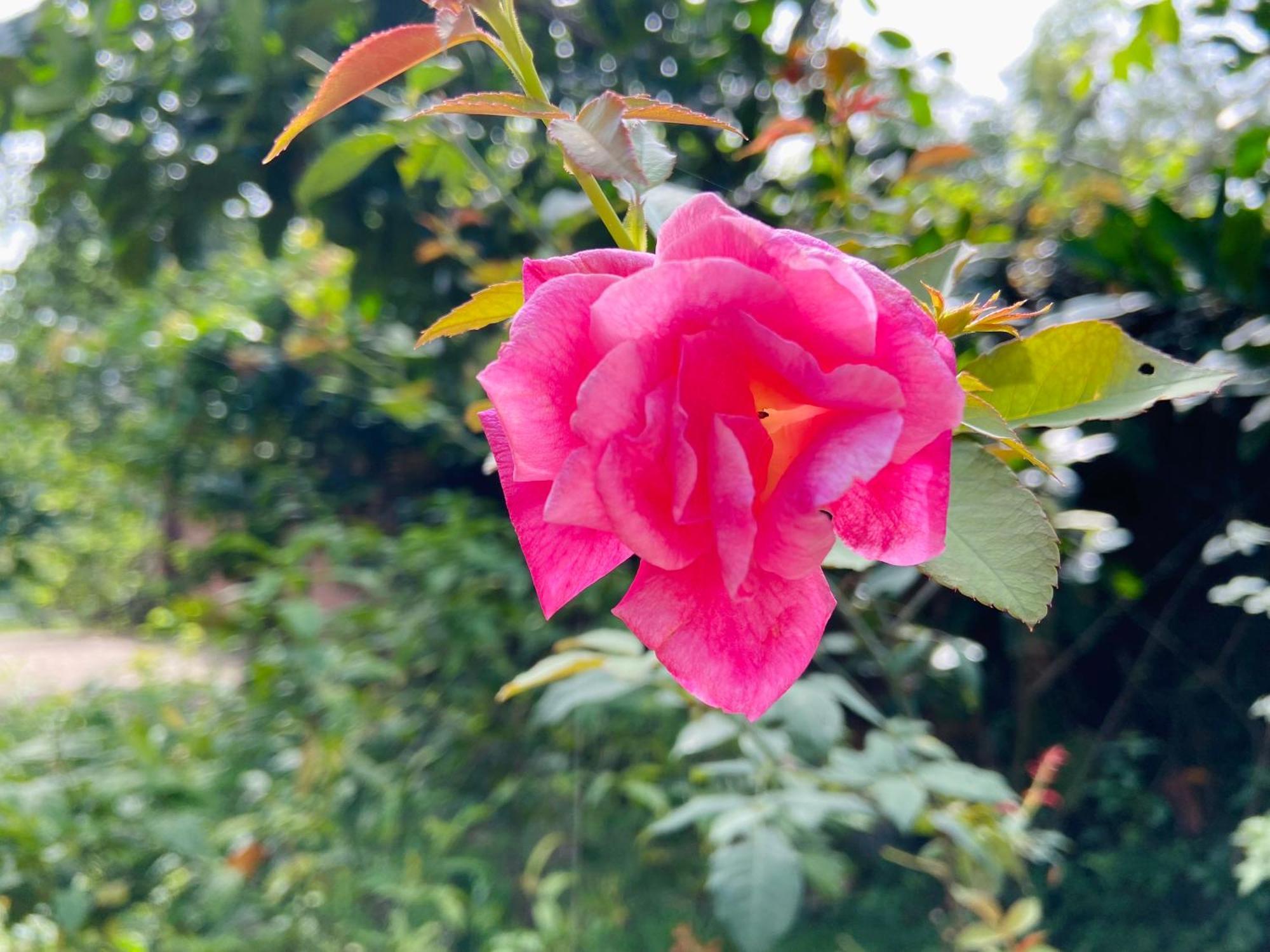 Ninh Binh Friendly Homestay Екстериор снимка