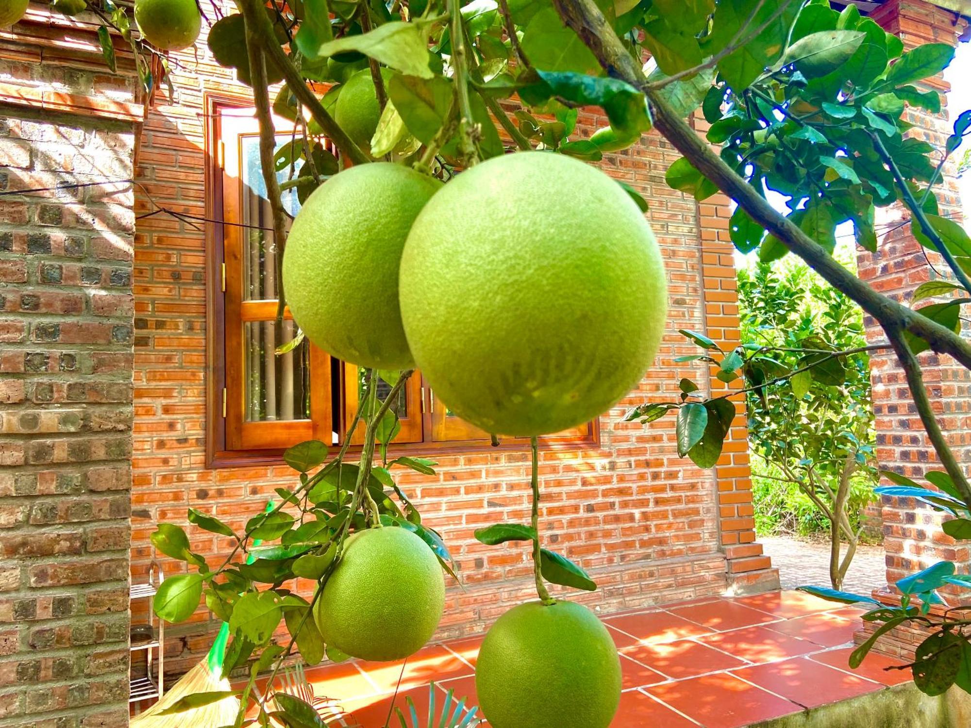 Ninh Binh Friendly Homestay Екстериор снимка