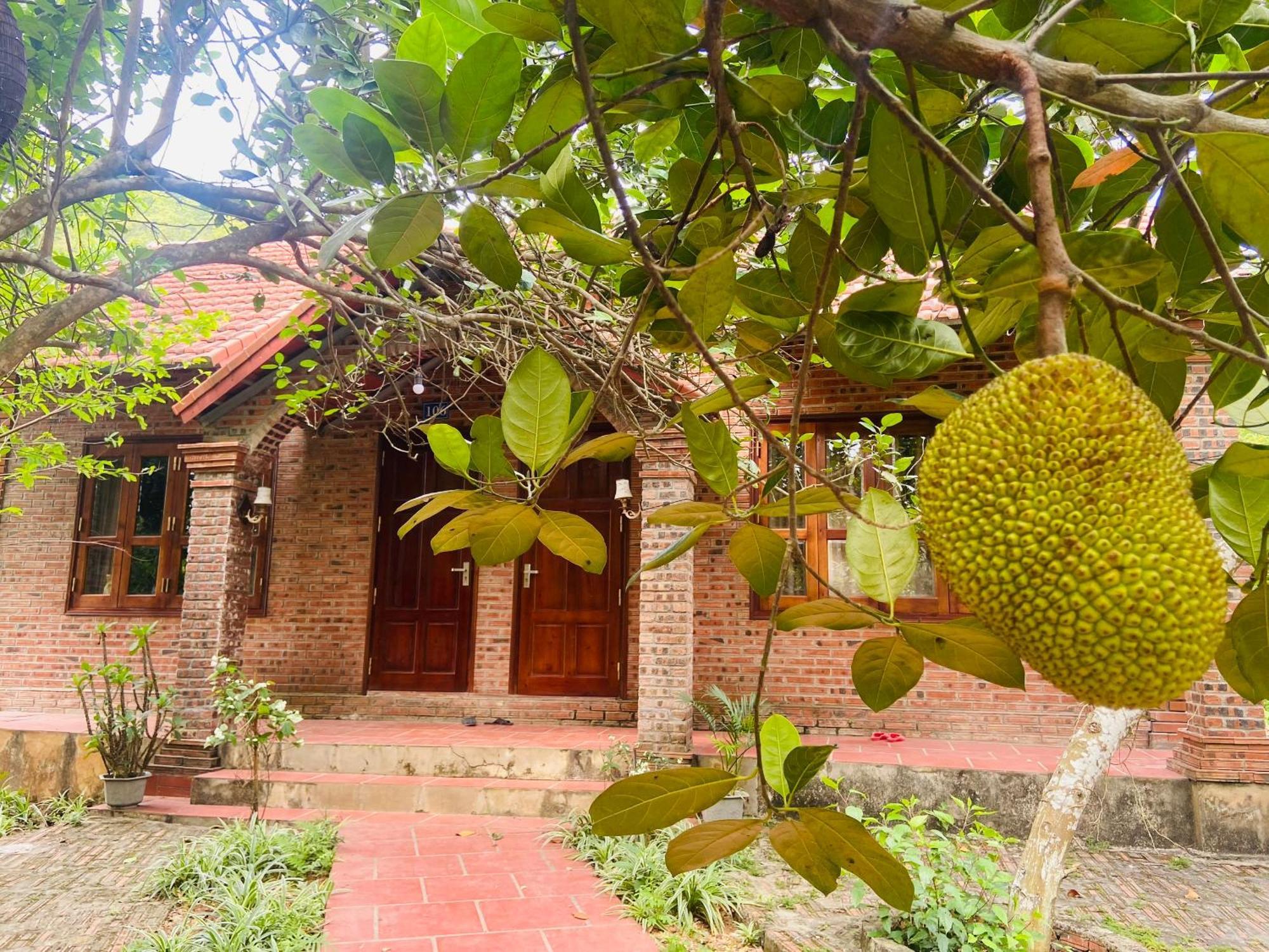 Ninh Binh Friendly Homestay Екстериор снимка