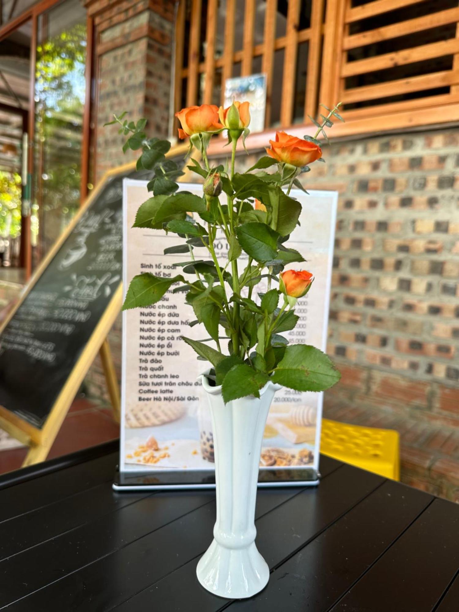 Ninh Binh Friendly Homestay Екстериор снимка