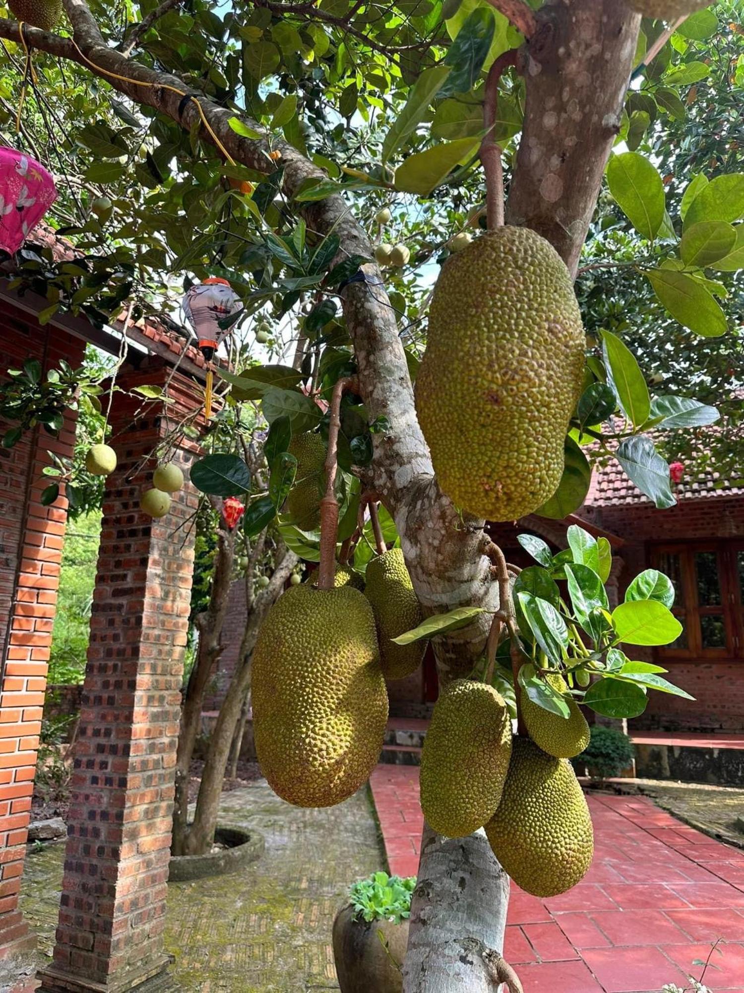 Ninh Binh Friendly Homestay Екстериор снимка
