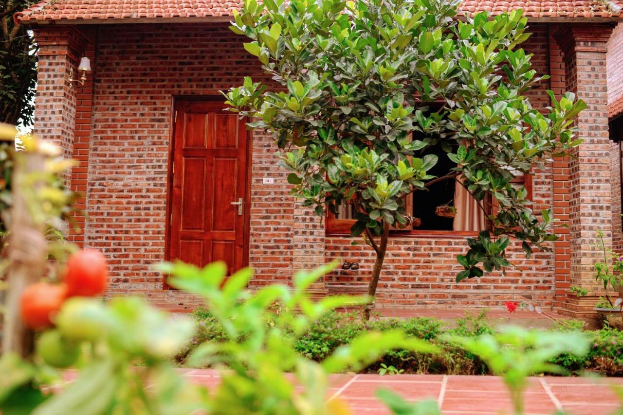 Ninh Binh Friendly Homestay Екстериор снимка